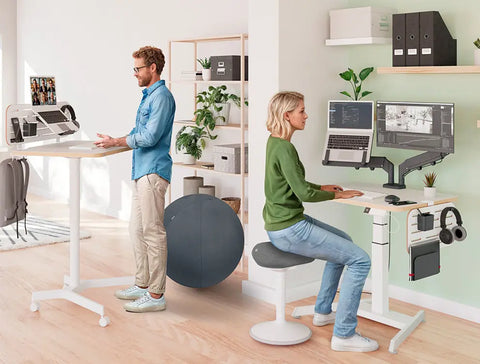Leitz Ergonomik Ürünler