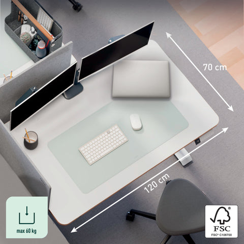 Leitz Ergo Sit-Stand Masa 120x70 cm